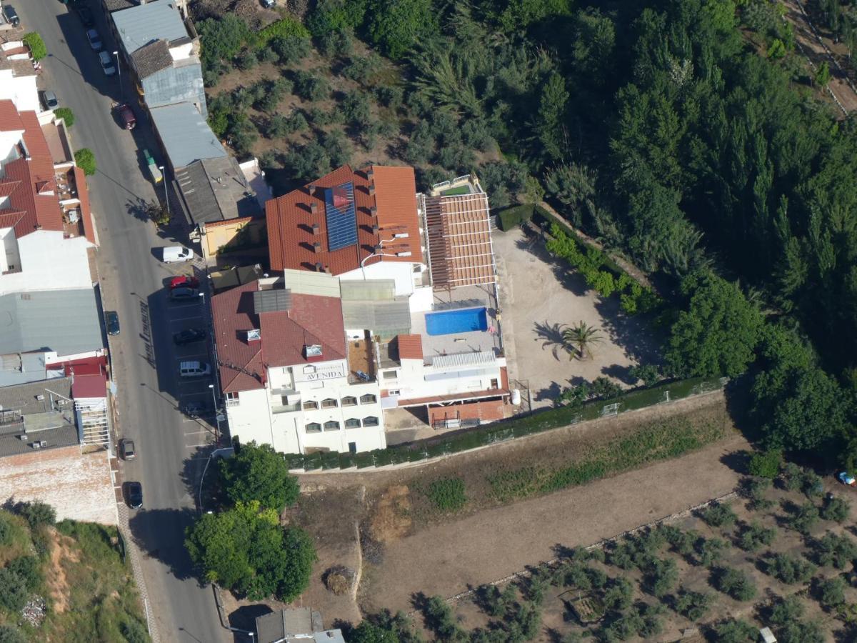 Hotel Avenida Беас-де-Сегура Экстерьер фото